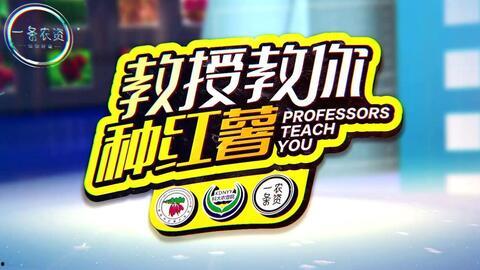 地瓜爆料視頻大全最新,揭秘娛樂圈幕后真相