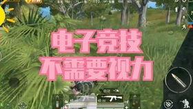 和平精英最新爆料擊殺王,擊殺王榮耀歸來，誰將問鼎巔峰？