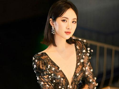 姚安娜最新爆料,揭秘娛樂圈驚人內幕