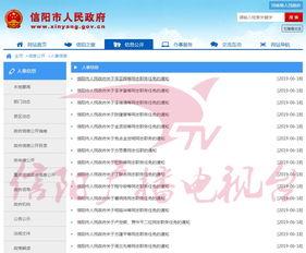 信陽頭條最新爆料,重大事件背后驚人內幕曝光！
