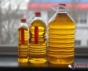 美國豆油最新爆料,揭秘市場動態與價格走勢