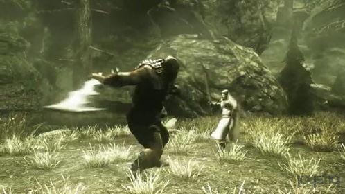 圣殿騎士最新爆料視頻大全,視頻大全深度解析